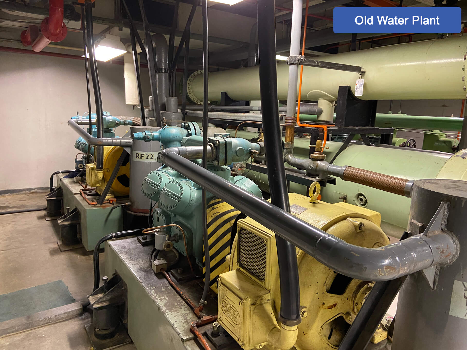 M1-Centre-Wanter-Plant-Old- Old wanter plant